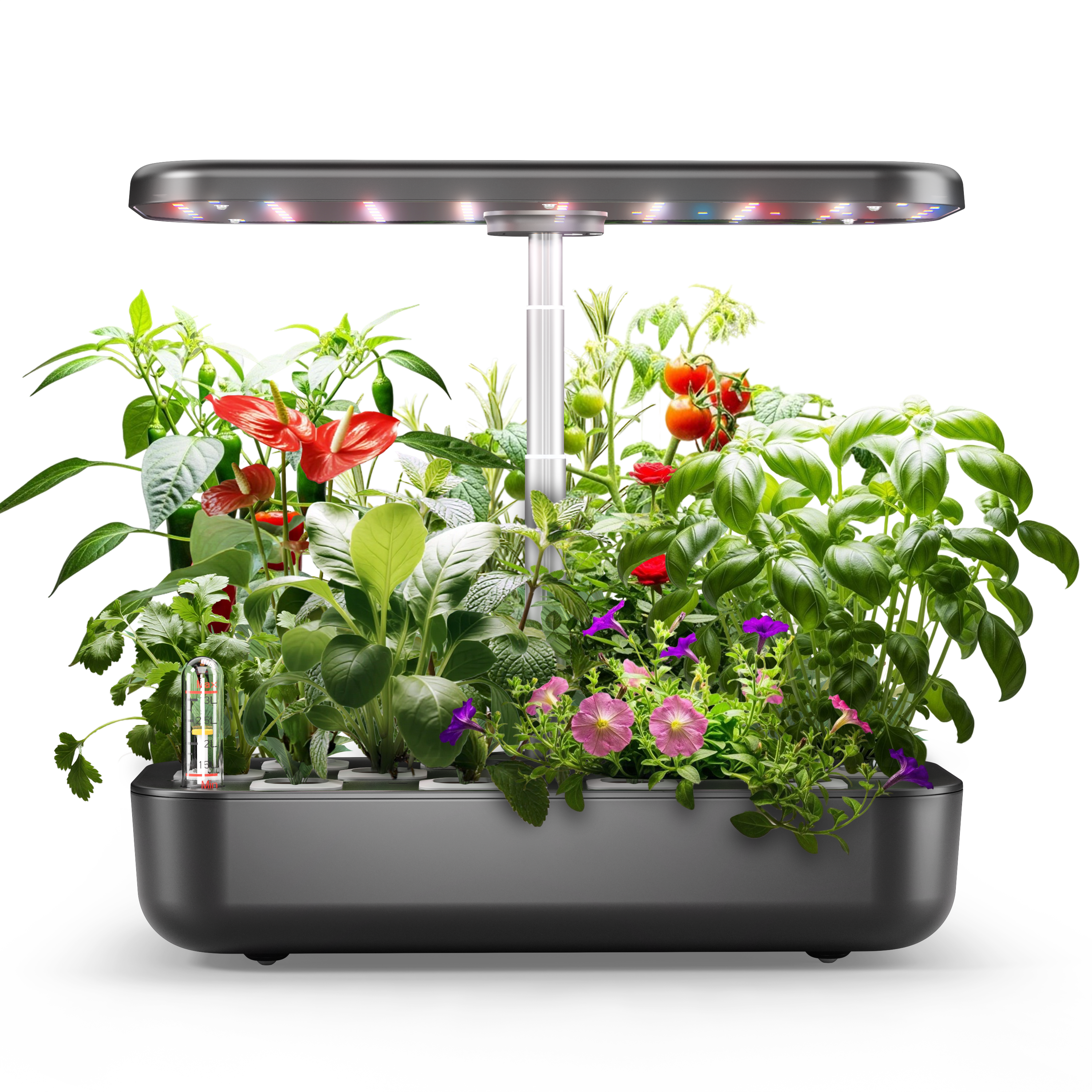 12-Pod Hydroponics Growing System