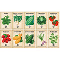 Beginner Plant Seed Bundle