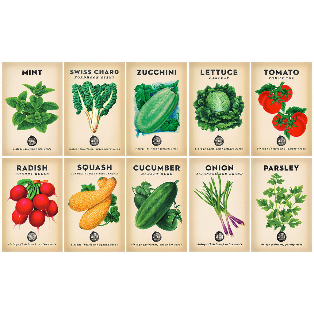 Beginner Plant Seed Bundle