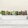 16" Succulent Centerpiece Table Decor, White