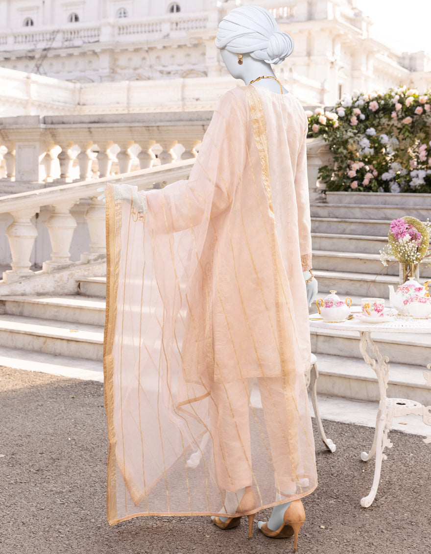 JJPW-S-JPWF-CD-23-085 FB/JA-896