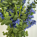 20" Blue Heather Eucalyptus Bush
