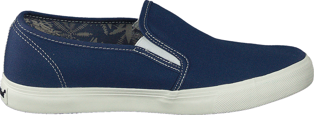 Campus Blue