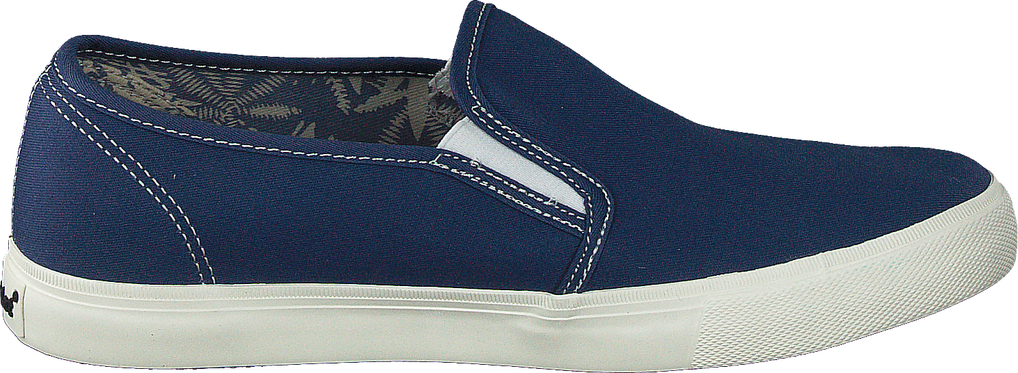 Campus Blue