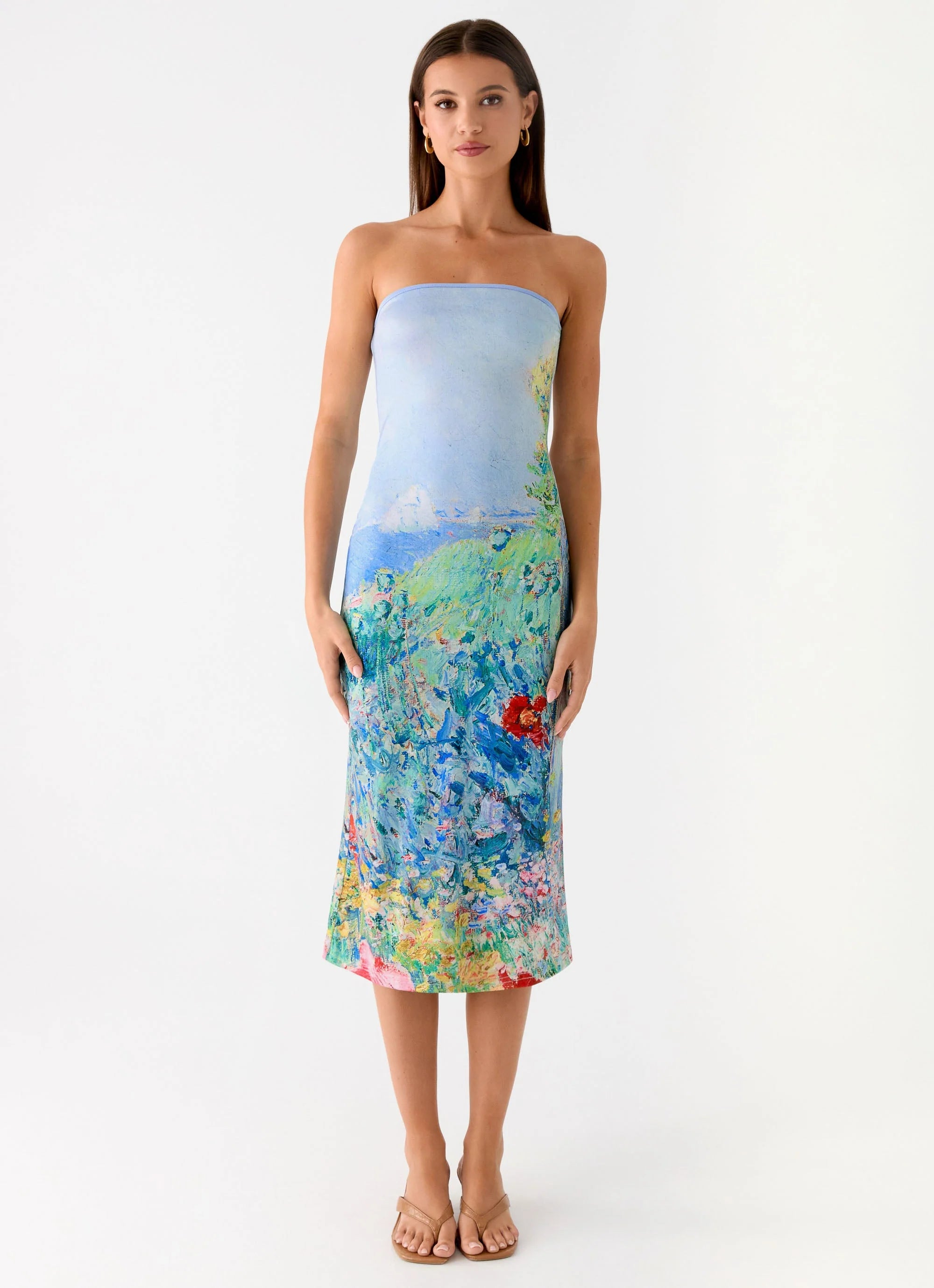 Niko Strapless Midi Dress - Spring Garden