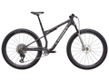 S-Works Epic 9 LTD UL Complete Bike