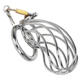 Birdcage Metal Chastity Cage