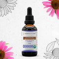 Buy Echinacea Angustifolia Tincture online