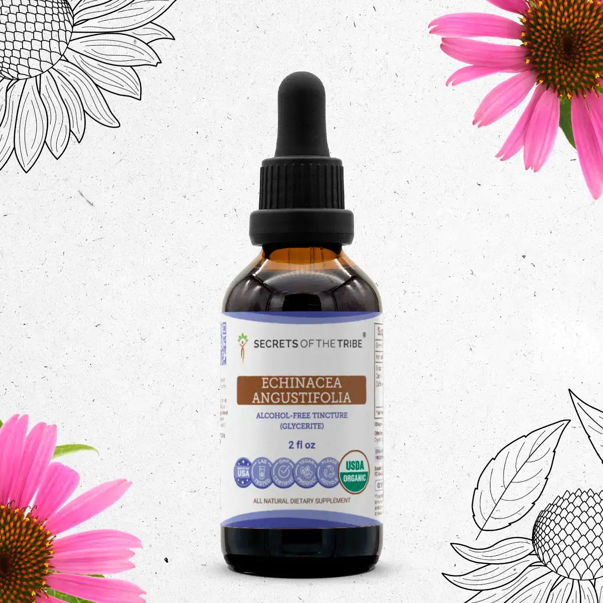 Buy Echinacea Angustifolia Tincture online