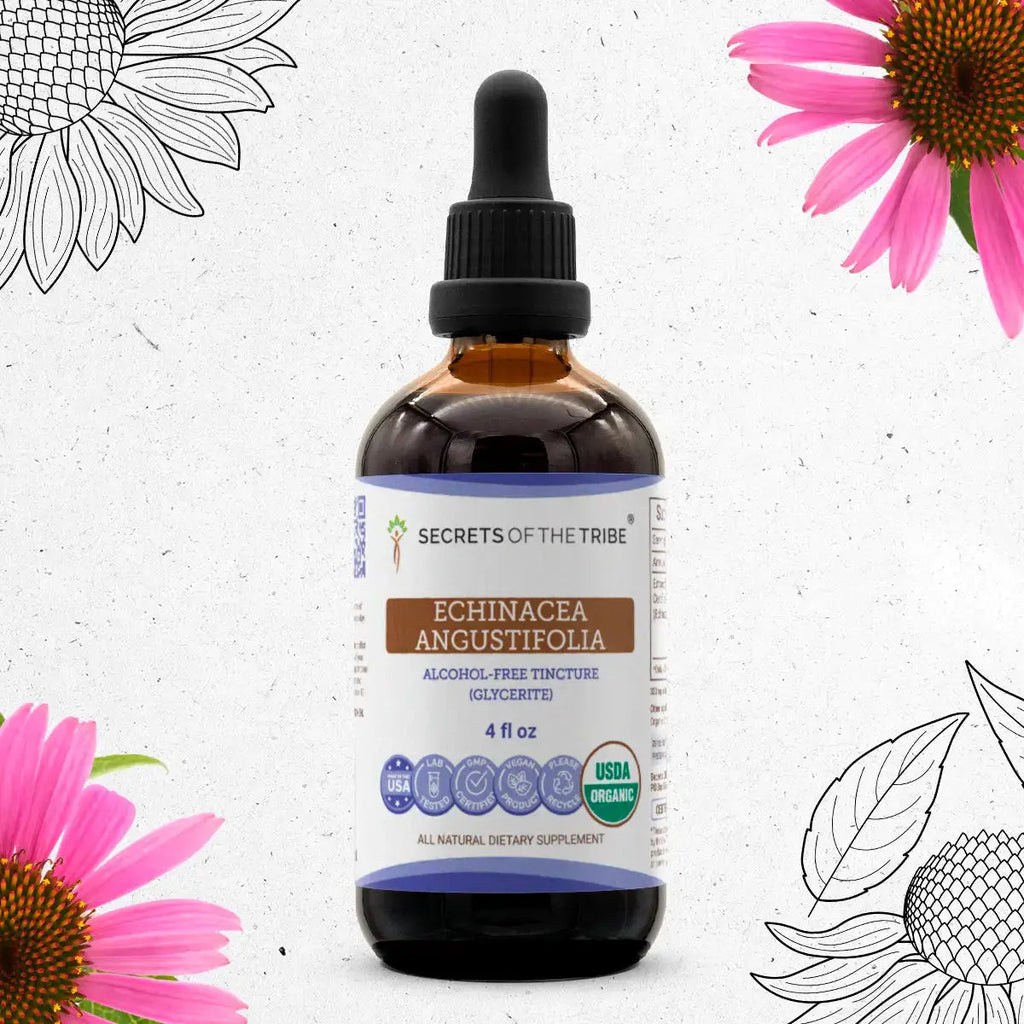 Buy Echinacea Angustifolia Tincture online