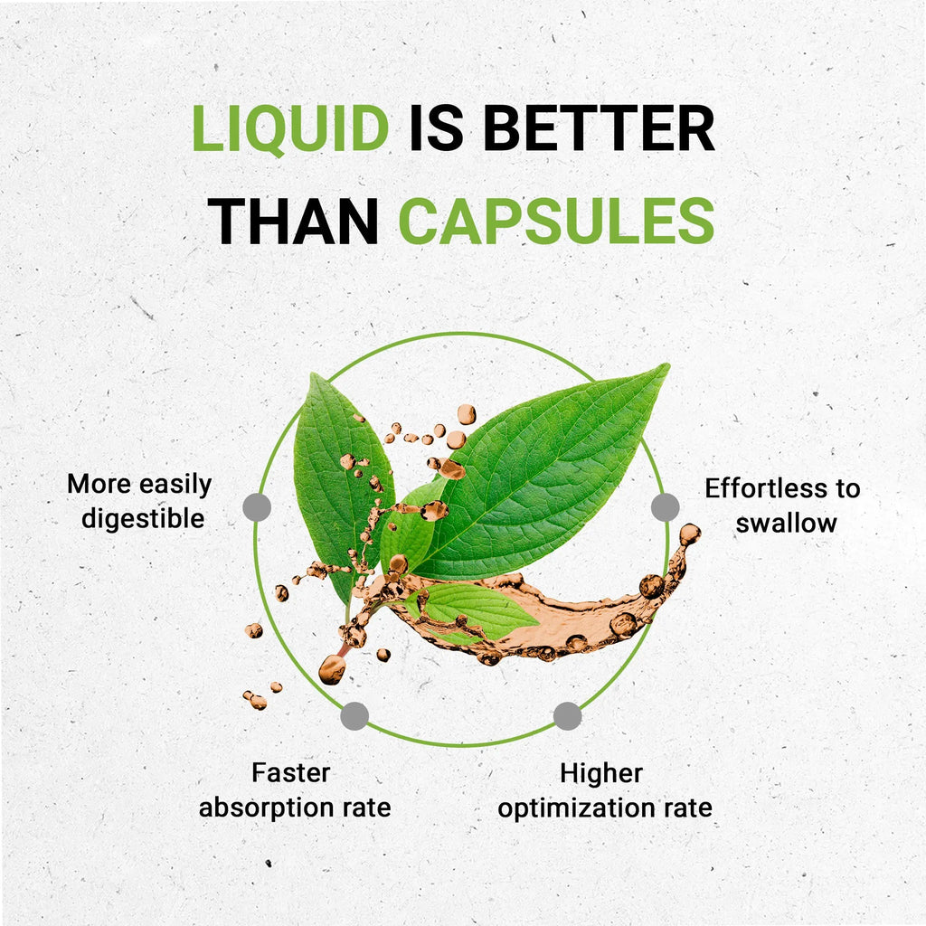 Buy Echinacea Angustifolia Tincture online