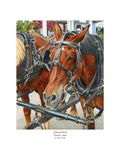 "Horsing Around" Deely, Maria