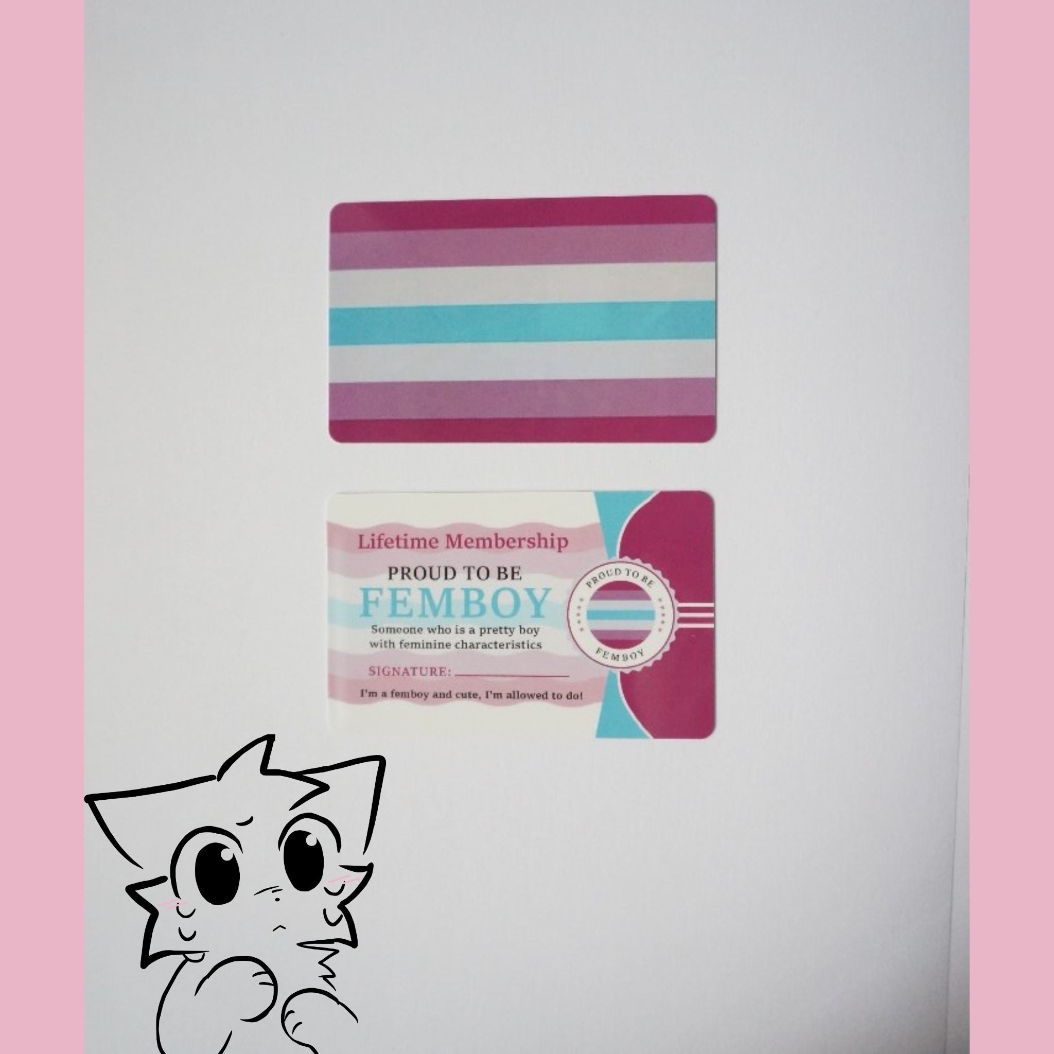 Femboy Exclusiv Set- Proud to Be a Pretty Femboy Edition Femboyflag