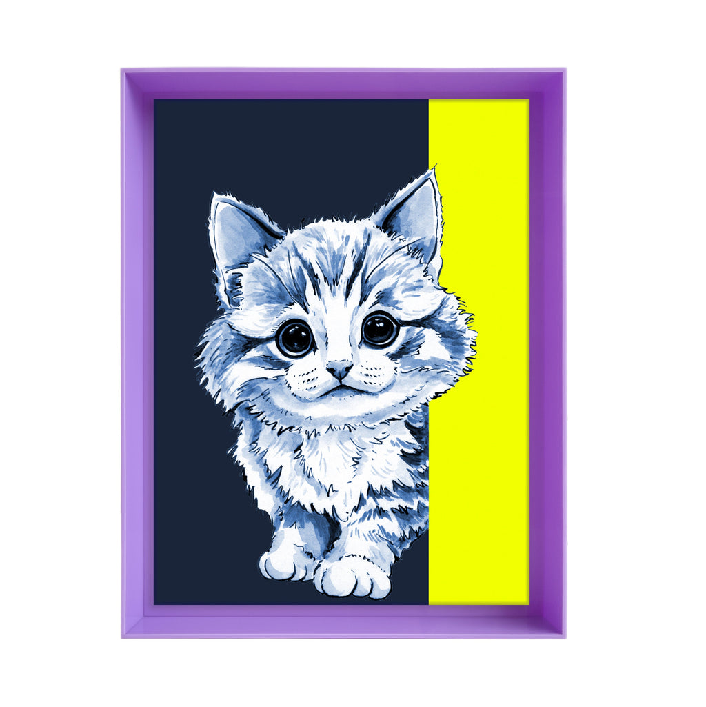 Tom de poes op blauwe achtergrond