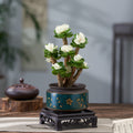 Portulaca molokiniensis Hobdy : Real Live Succulent Cactus Plant