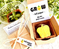 Bell Pepper Seed Planting Kit - other seed options