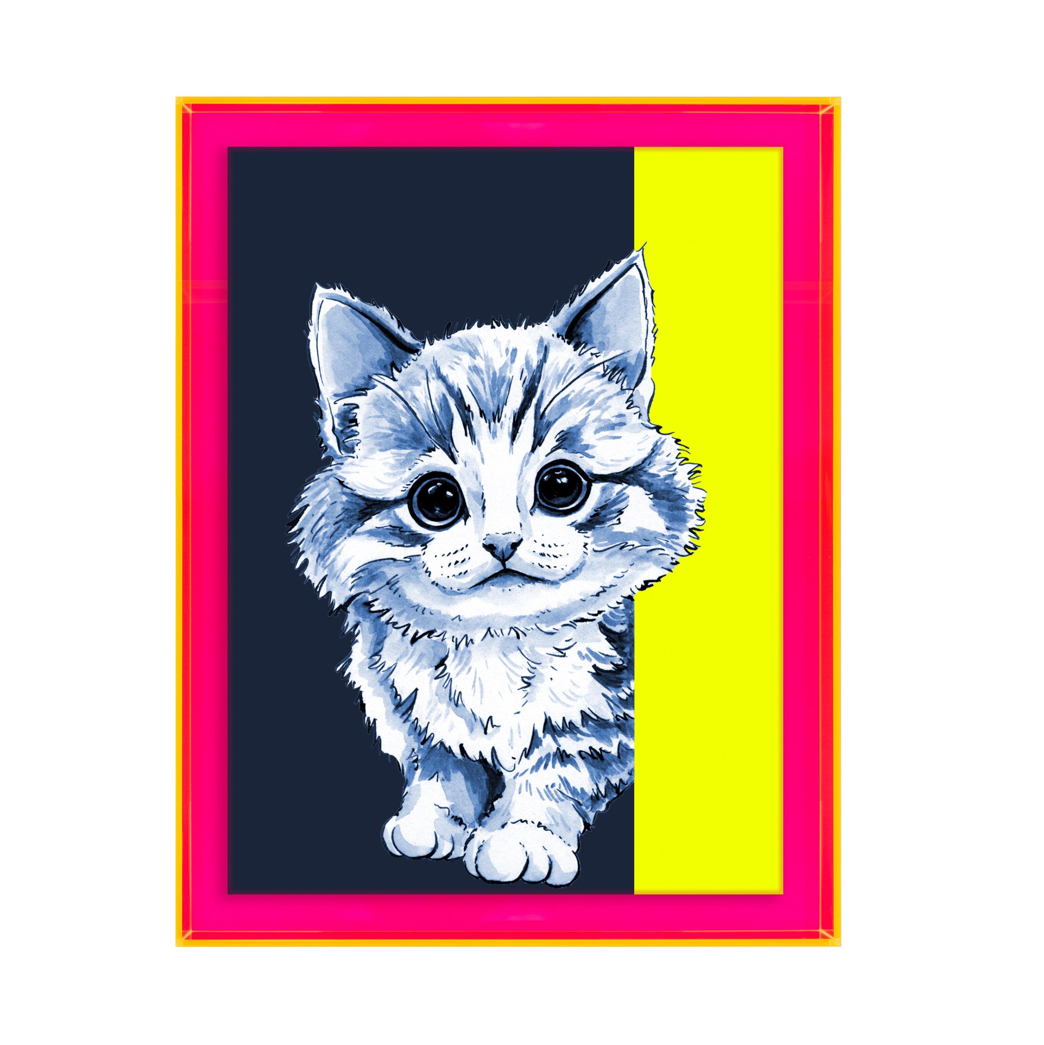 Tom de poes op blauwe achtergrond