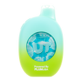 Cool Mint/Icy Mint UT 50K Disposable