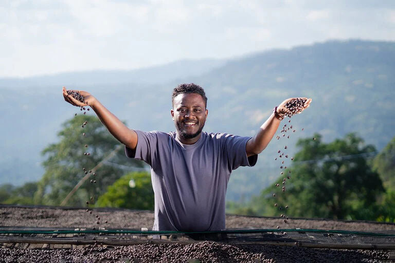Tamiru Tedesse Alo Coffee Ethiopia