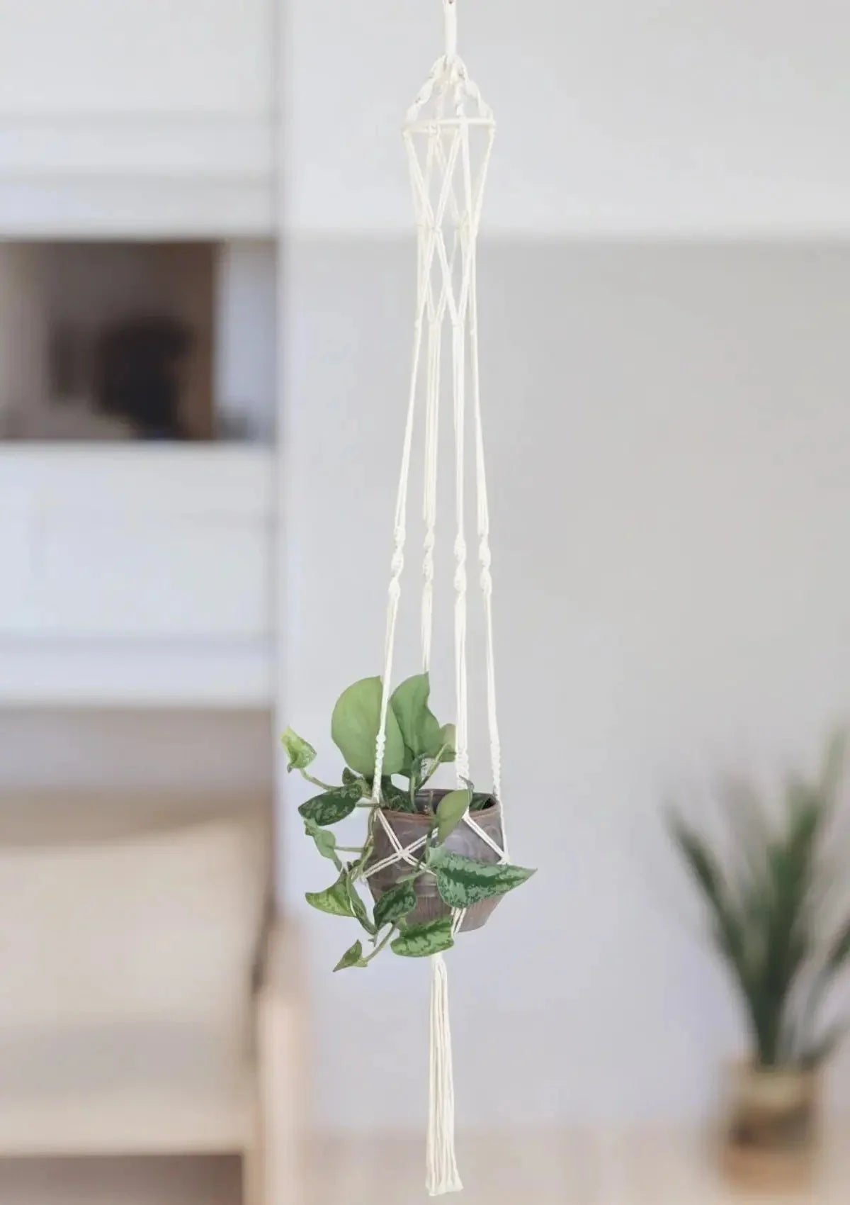 decor - For the Home - garden planter- Ruby Jane.