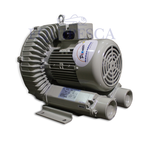 BLOWER PIONEER 10HP.3PH. 220/440V. C/FILTRO (PMF-20)(PRB80-6B0) - 6