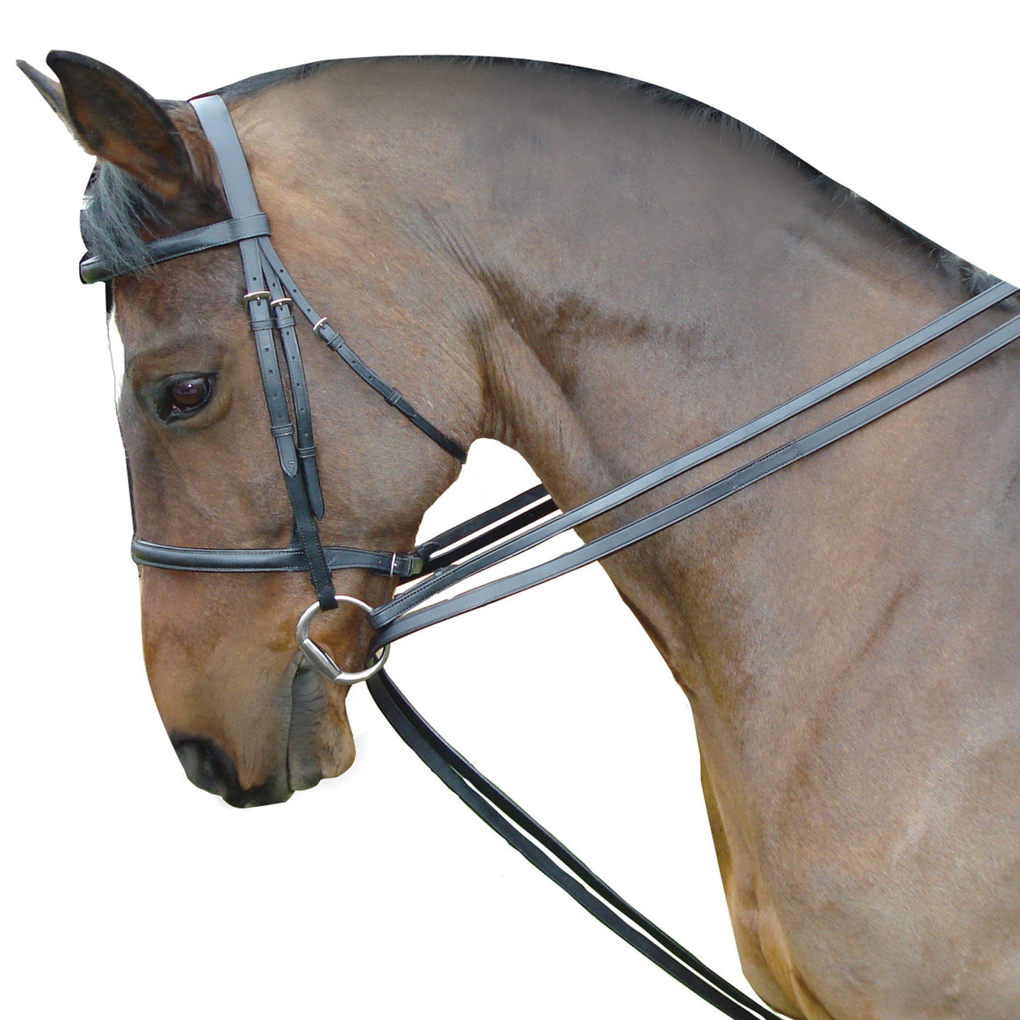 Kincade Leather Draw Reins Set