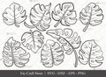 Monstera Leaf Outline SVG Cut File | Monstera Leaves Svg | Monstera Leaf With Hole Svg | Monstera Leaves Bundle | Green Leaf SVG | Eps | Dxf | Png | SVG ETC Craft