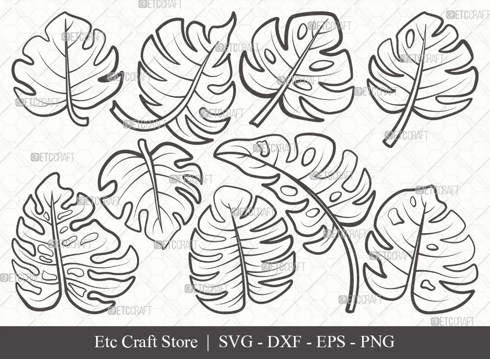 Monstera Leaf Outline SVG Cut File | Monstera Leaves Svg | Monstera Leaf With Hole Svg | Monstera Leaves Bundle | Green Leaf SVG | Eps | Dxf | Png | SVG ETC Craft