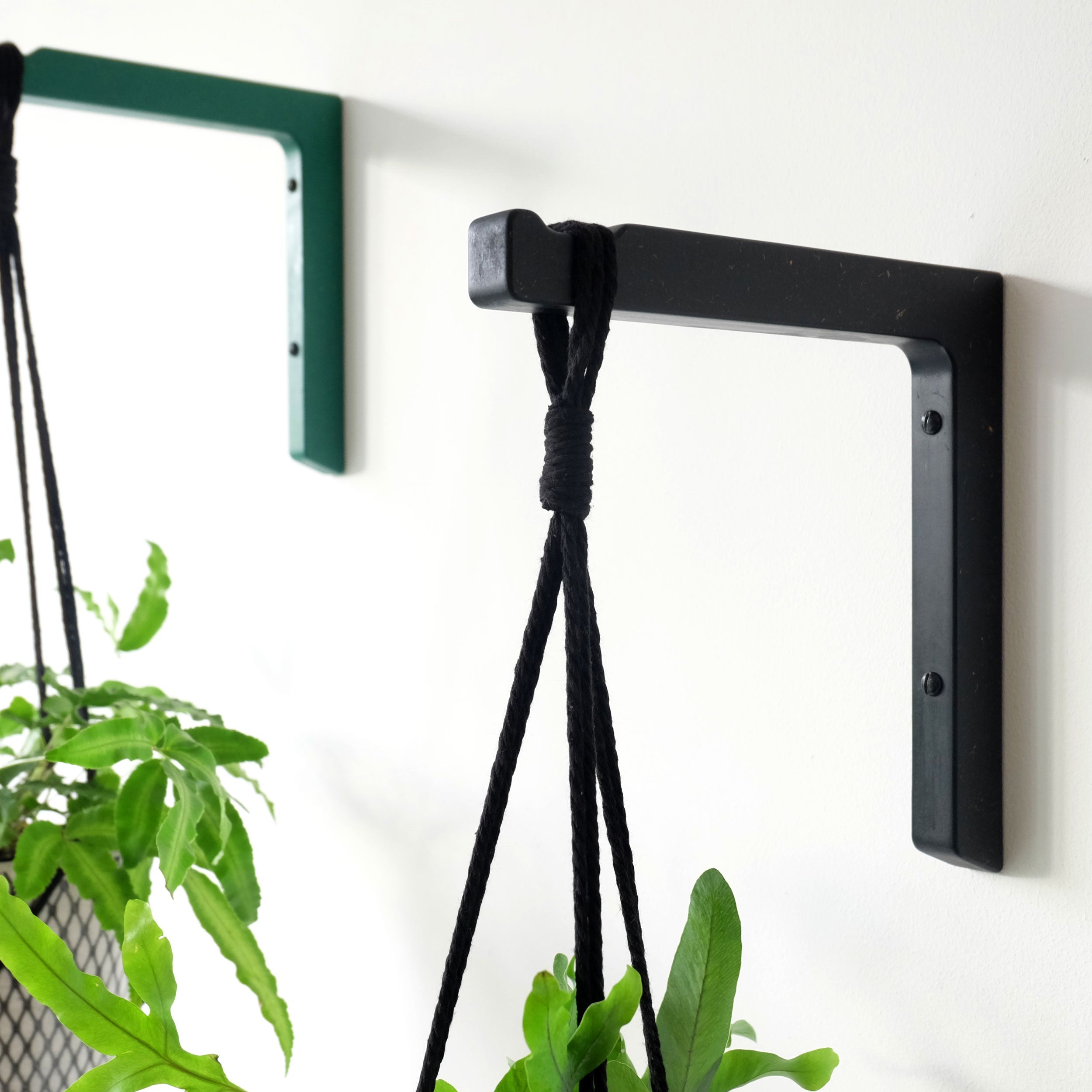A wooden wall mounted plant hook in black wood, installed on a white wall with a plant hanging from it.